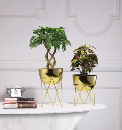 Cachepot Planter Pot with Stand - Gold Finish | Elegant and Modern Designed Plant Pot with Shiny Finish | Durable Iron Construction | for Home, Office and Balcony Decor