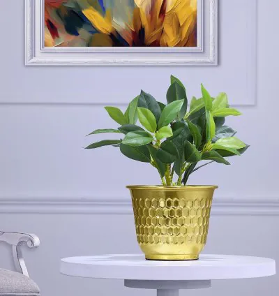 Whimsy Wagon Planter Pot - Golden Finish  Aesthetic & Modern Style Planter Pot for Botanicals & Flowers  Durable & Sleek Pot