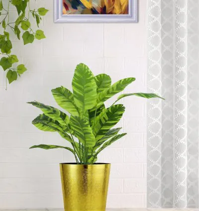 Perch Planter Cachepot - Gold Finish | Aesthetic Round Iron Metal Plant Display Pot for Home, Office, Living Room & Drawing Room Decor | Durable and Versatile for Botanicals