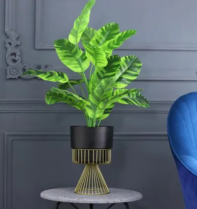 Cachepot Planter Pot with Stand - Black and Gold  Aesthetic and Modern Style Plant Pot for Office, Home, Living Room & Drawing Room  Durable & Sturdy Iron Metal Construction