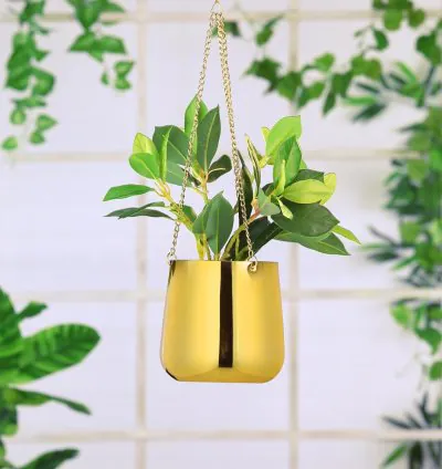Vertical Vista Hanging Planter Pot - Gold Finish  Modern Style Hanging Cachepot with Chain Set for Flowers & Botanicals  Durable Iron
