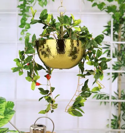 Halfcutt Hanging Wall Planter Cachepot - Gold Finish  Aesthetically Designed Hanging Plant Flower Pot for Home, Office and Balcony Decor